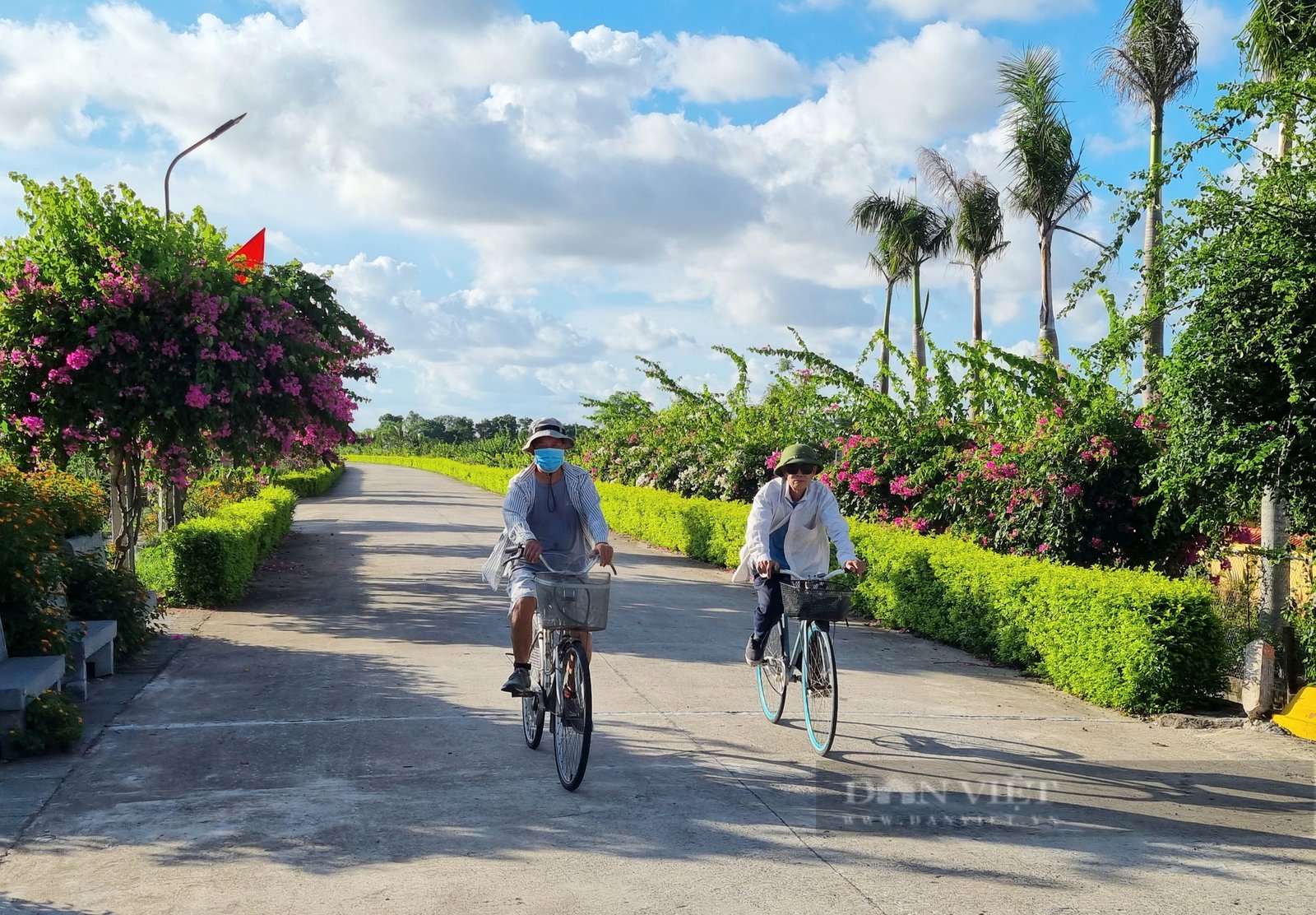 Rực rỡ con đường hoa đẹp như phim đang thu hút giới trẻ ở Ninh Bình - Ảnh 4. Rực rỡ con đường hoa đẹp như phim đang thu hút giới trẻ ở Ninh Bình - Ảnh 4.