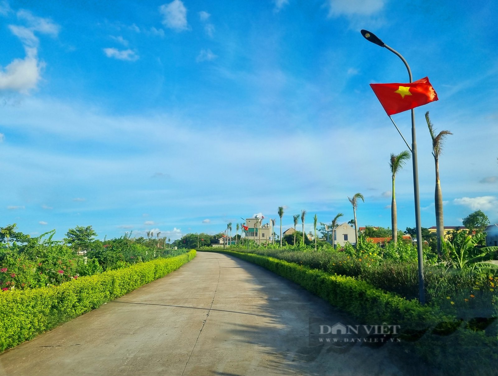 Rực rỡ con đường hoa đẹp như phim đang thu hút giới trẻ ở Ninh Bình - Ảnh 8. Rực rỡ con đường hoa đẹp như phim đang thu hút giới trẻ ở Ninh Bình - Ảnh 8.