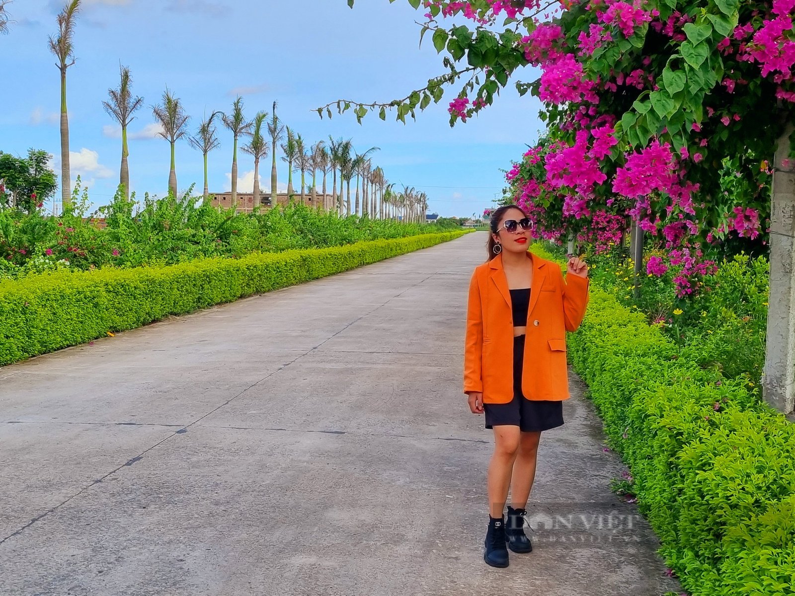 Rực rỡ con đường hoa đẹp như phim đang thu hút giới trẻ ở Ninh Bình - Ảnh 2. Rực rỡ con đường hoa đẹp như phim đang thu hút giới trẻ ở Ninh Bình - Ảnh 2.