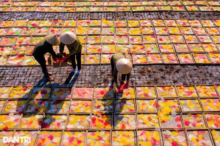 Nghề độc lạ ở Ninh Bình: Không cho lá rụng... về gốc - 2