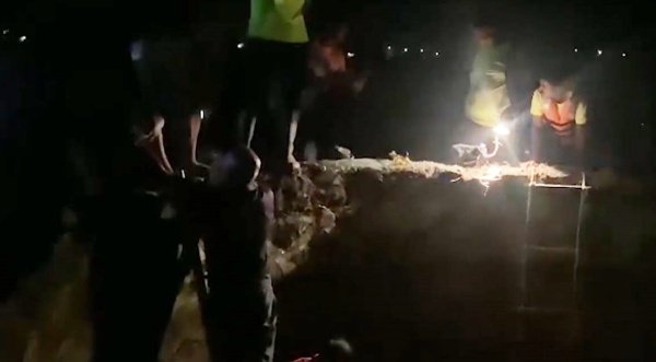 Auto Draft Auto Draft