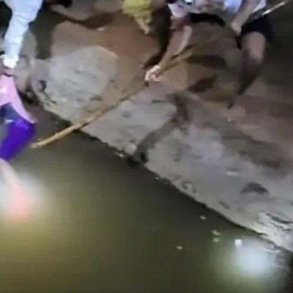 Auto Draft Auto Draft