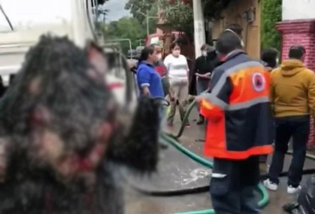 con-chuot-khong-lo-chan-cong-thoat-nuoc-gay-ngap-lut-nghiem-trong-8ba8f13f