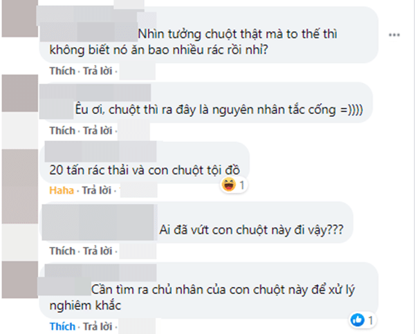 con-chuot-khong-lo-chan-cong-thoat-nuoc-gay-ngap-lut-nghiem-trong-cb2db4dc