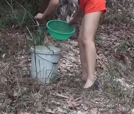 cô gái xinh đẹp, vào rừng chặt 1 cành cây, sau đó làm việc không tưởng