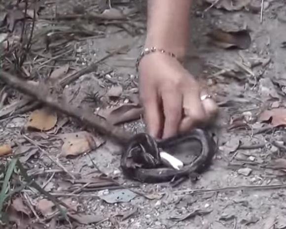 cô gái xinh đẹp, vào rừng chặt 1 cành cây, sau đó làm việc không tưởng