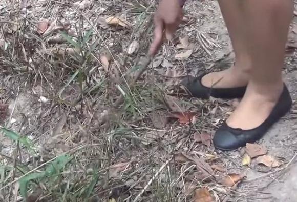 cô gái xinh đẹp, vào rừng chặt 1 cành cây, sau đó làm việc không tưởng