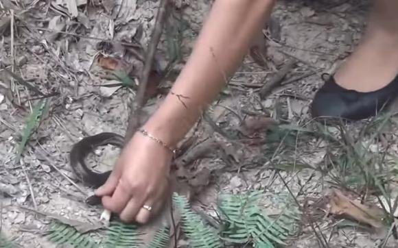 cô gái xinh đẹp, vào rừng chặt 1 cành cây, sau đó làm việc không tưởng