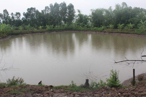 Auto Draft Auto Draft