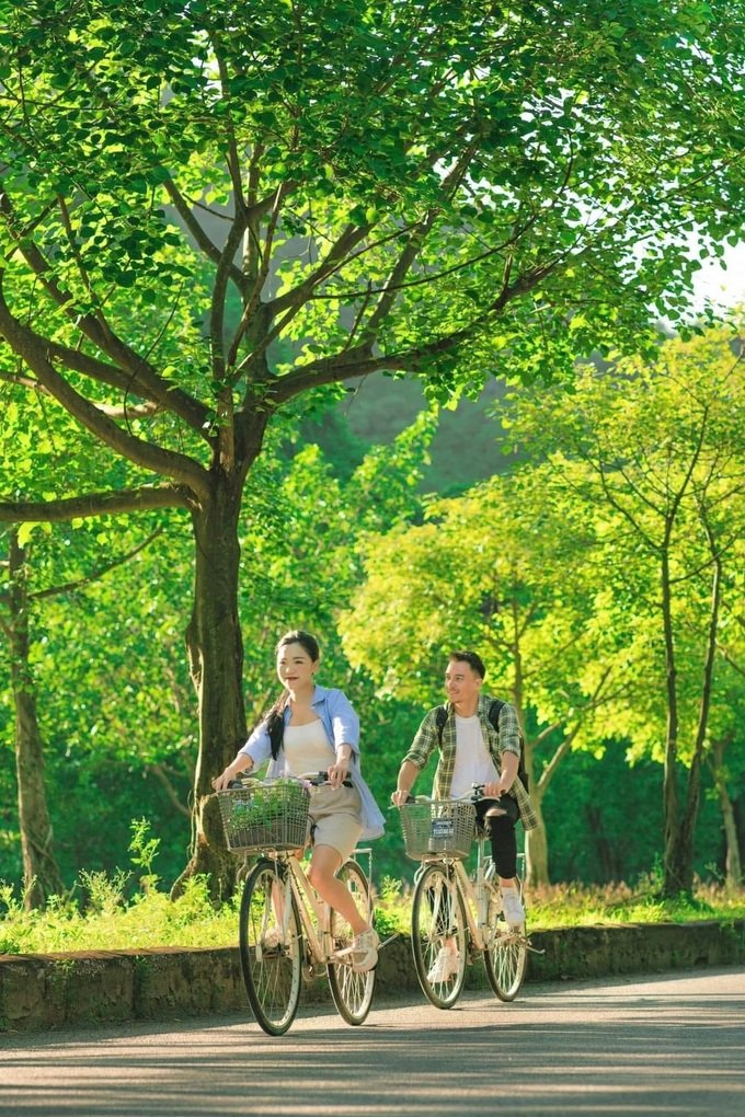 Hàng cây bồ đề dài 10km độc đáo ở Ninh Bình 