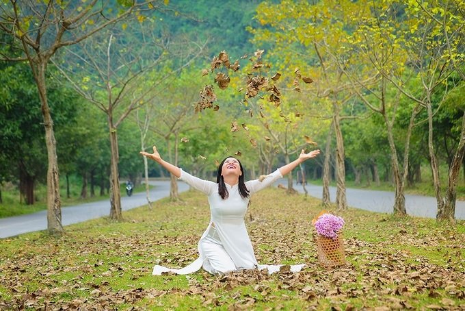 Hàng cây bồ đề dài 10km độc đáo ở Ninh Bình 