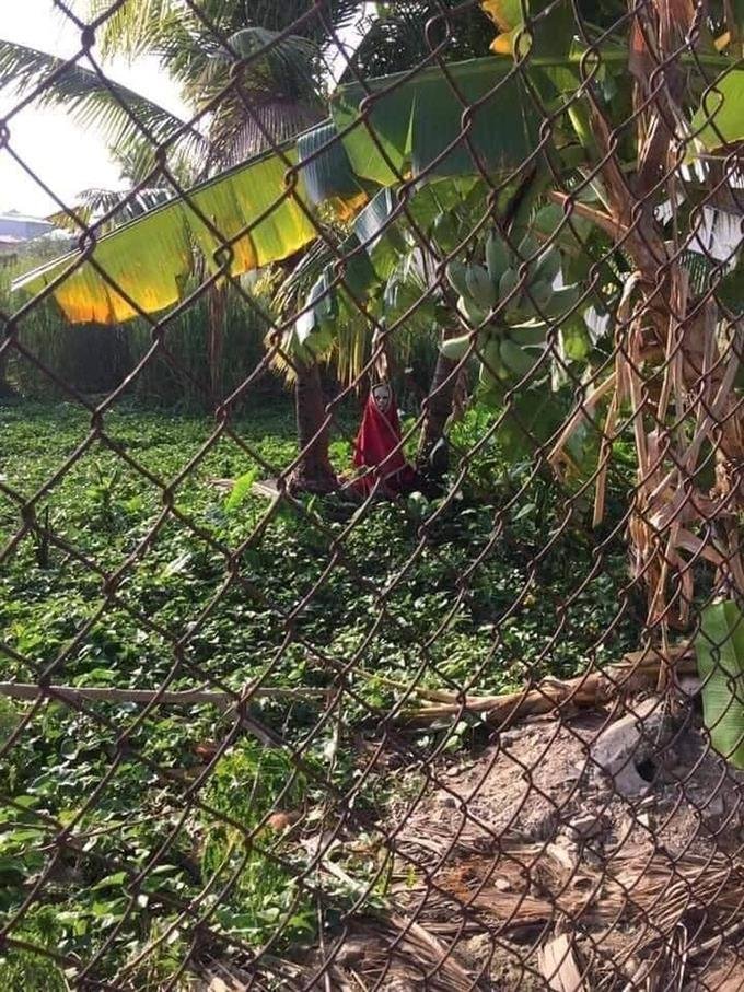 Khu vườn giữa trưa xuất hiện bóng áo đỏ, nhìn cận hơn mới nhận ra điều bất ngờ - 2