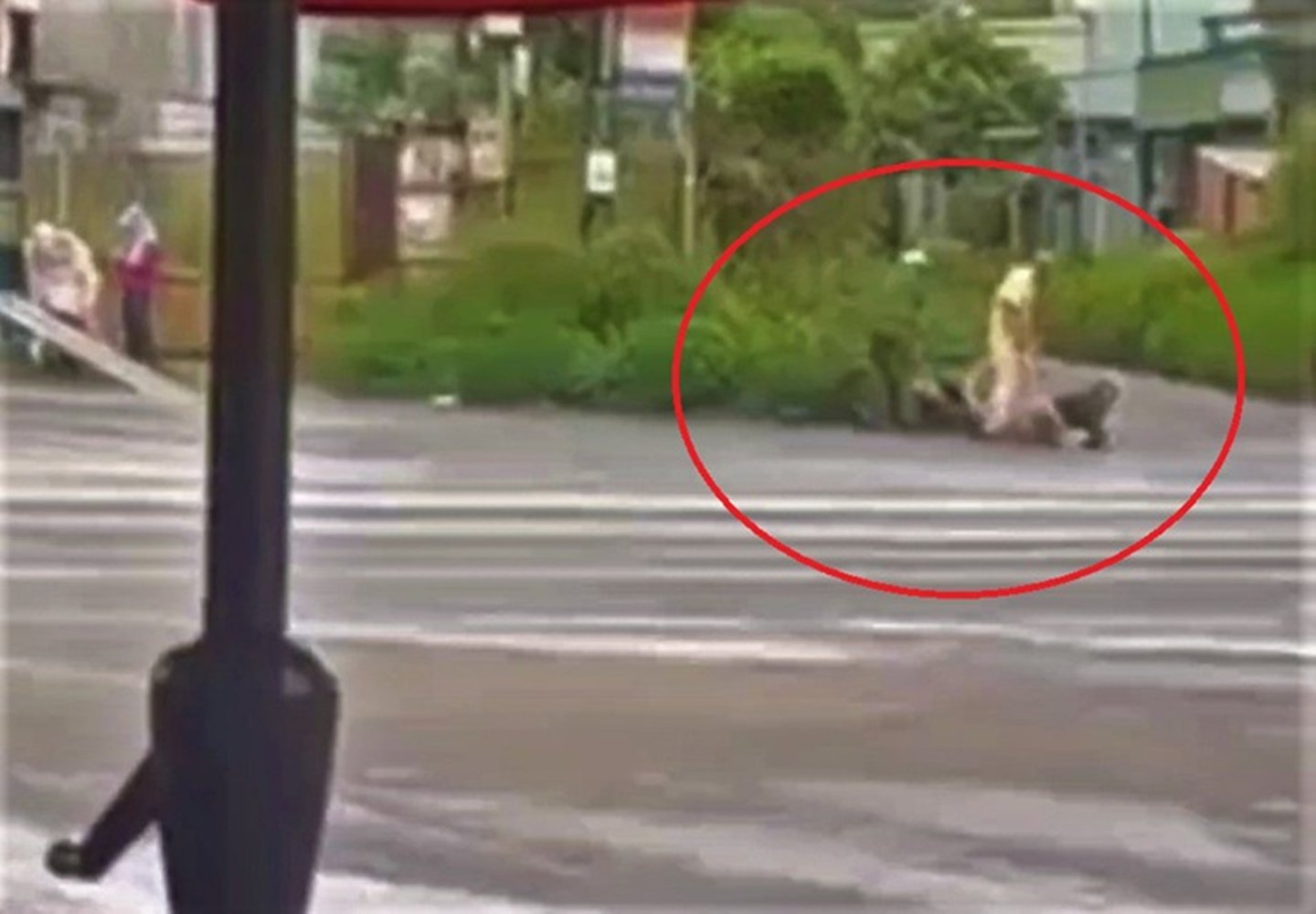 Gia Lai: Tạm đình chỉ công tác cán bộ trật tự phường 'giằng co' với bà bán cá