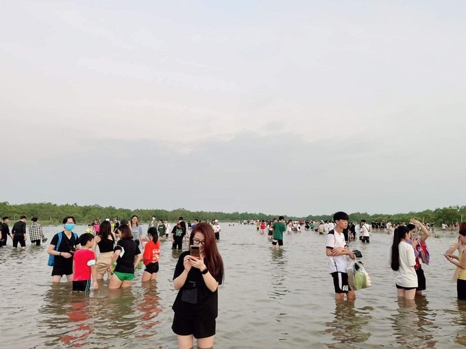 Hình ảnh thực tế ở biển vô cực Thái Bình khiến du khách thất vọng - 2 Hình ảnh thực tế ở biển vô cực Thái Bình khiến du khách thất vọng - 2