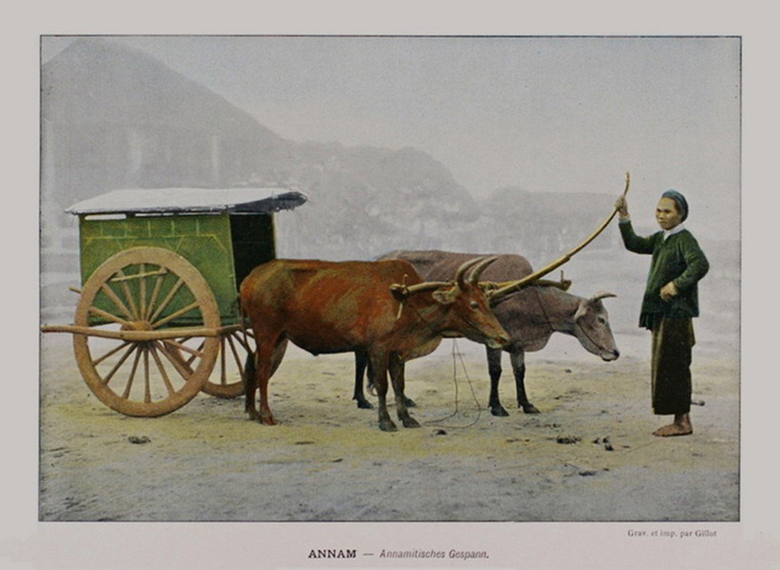 Ngỡ ngàng ảnh màu đặc biệt về Việt Nam 100 năm trước - Hình 11 Ngo ngang anh mau dac biet ve Viet Nam 100 nam truoc-Hinh-11