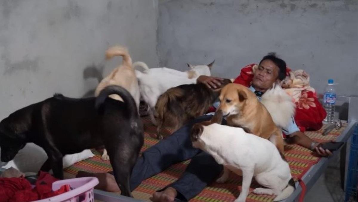 Cặp vợ chồng không sinh con để nuôi hơn 300 con chó mèo theo cách lạ lùng Ảnh 2