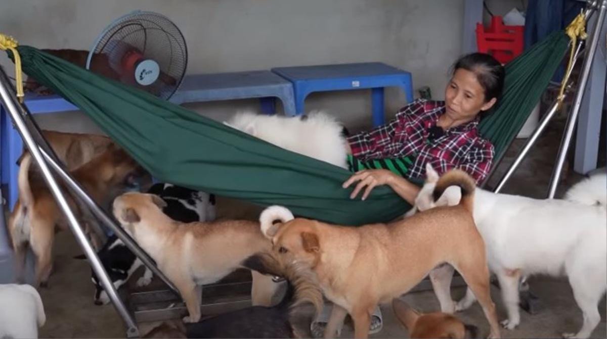 Cặp vợ chồng không sinh con để nuôi hơn 300 con chó mèo theo cách lạ lùng Ảnh 3