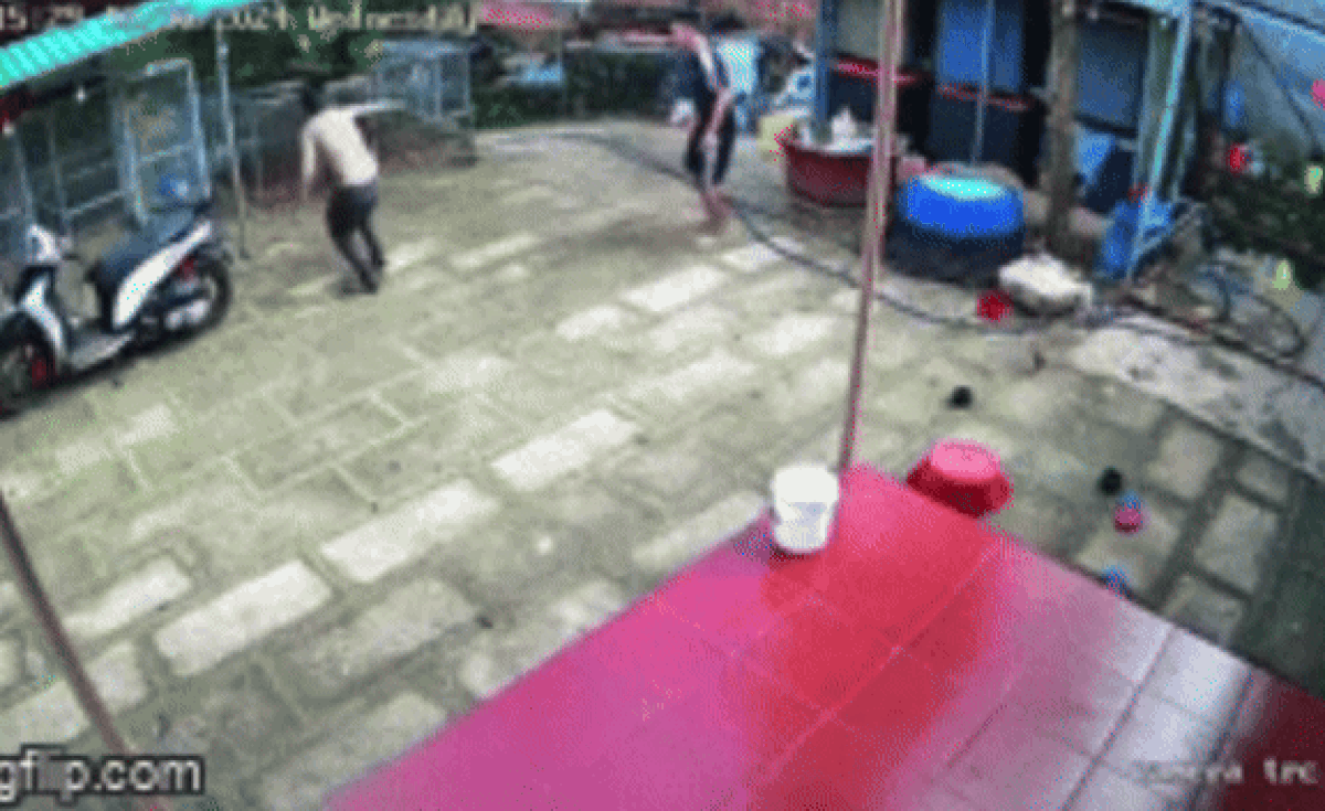 Rắn khủng đi lạc vào sân, thanh niên xăm trổ tung chiêu độc khiến con rắn 'xây xẩm' mặt mày Ảnh 1