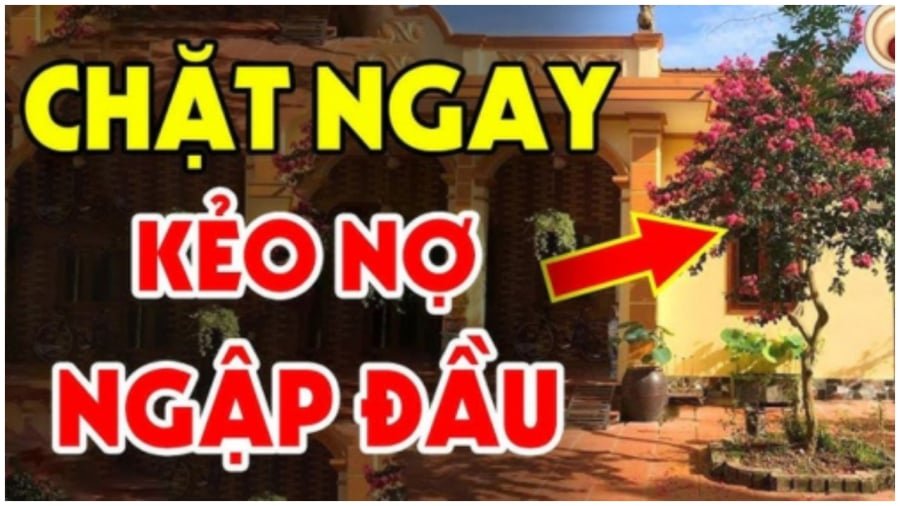 3 khong trong truoc cua 3 thu khong dat trong nha