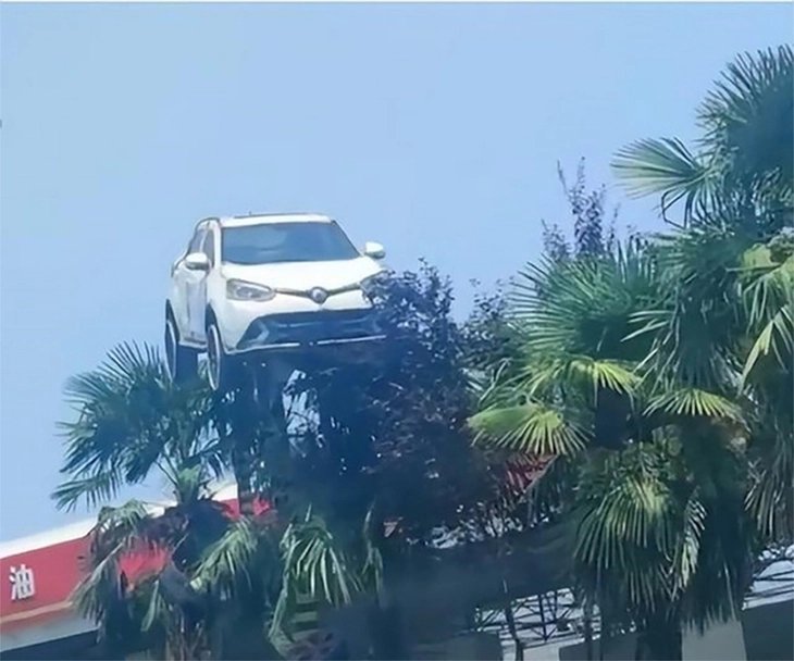 trường dạy lái xe - Ảnh 3.